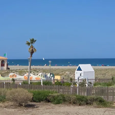 Db8 Face Les Pieds Dans Le Sable * Leucate